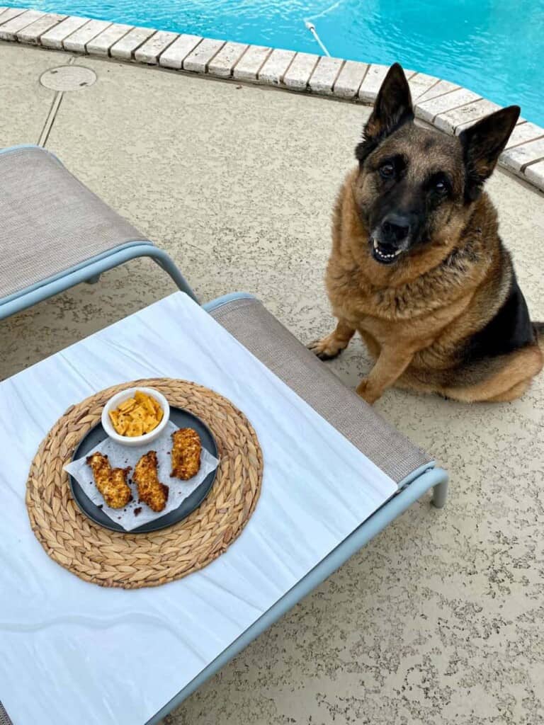 A dog sitting next to a table with Cheez It Air Fryer Chicken Tenders on a plate.