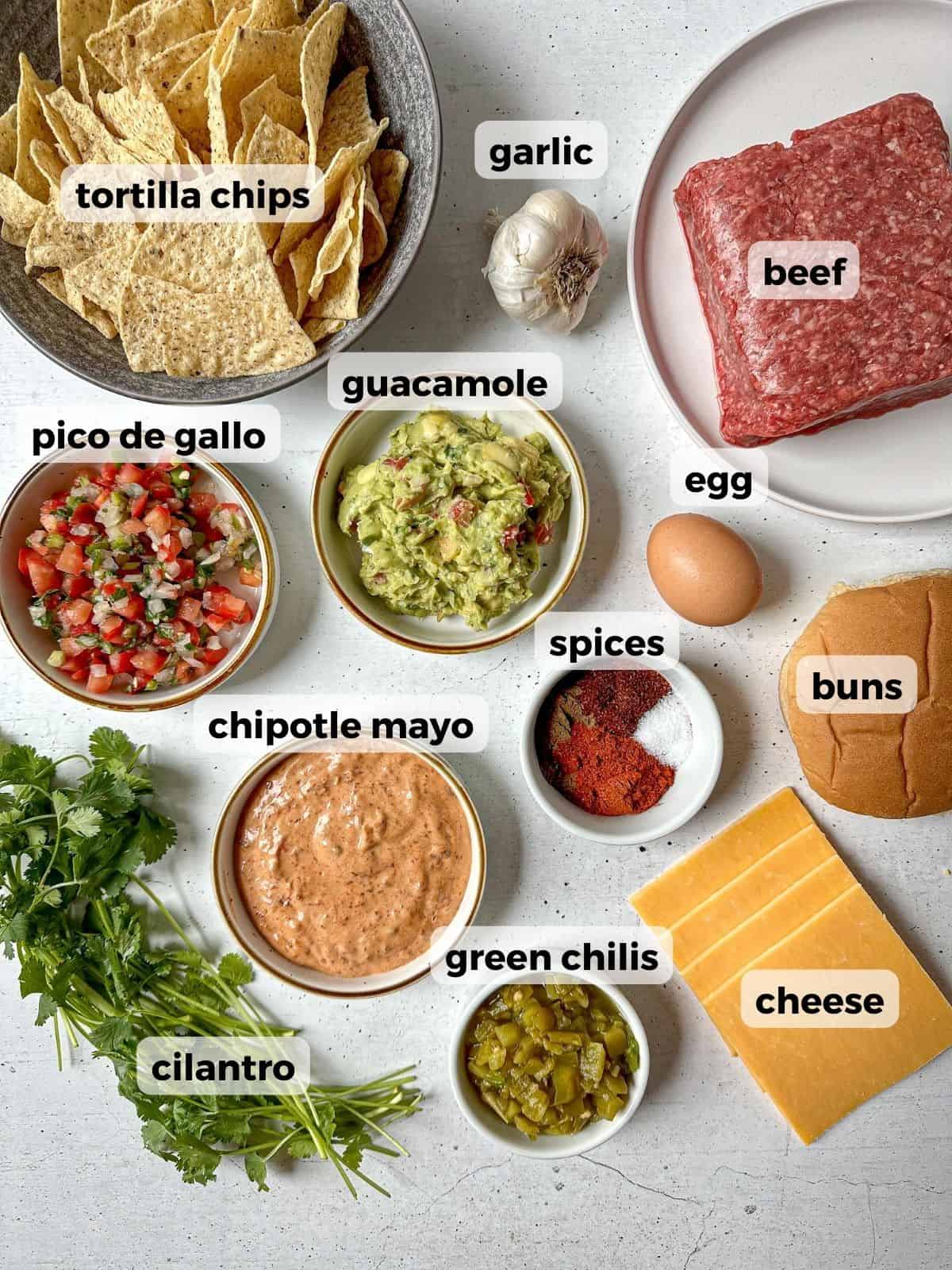 Ingredients needed to make southwest burgers on a concrete table: ground beef, hamburger bun, egg, cheese, green chilis, cilantro, spices, pico de gallo, guacamole, chipotle mayo, garlic, and tortilla chips.