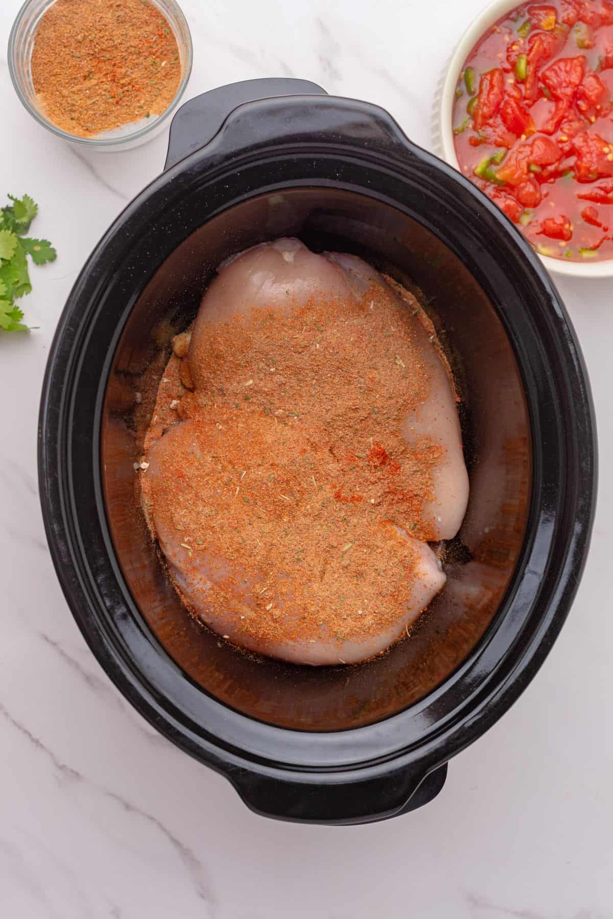 Chicken breast and taco seasoning in a crockpot.