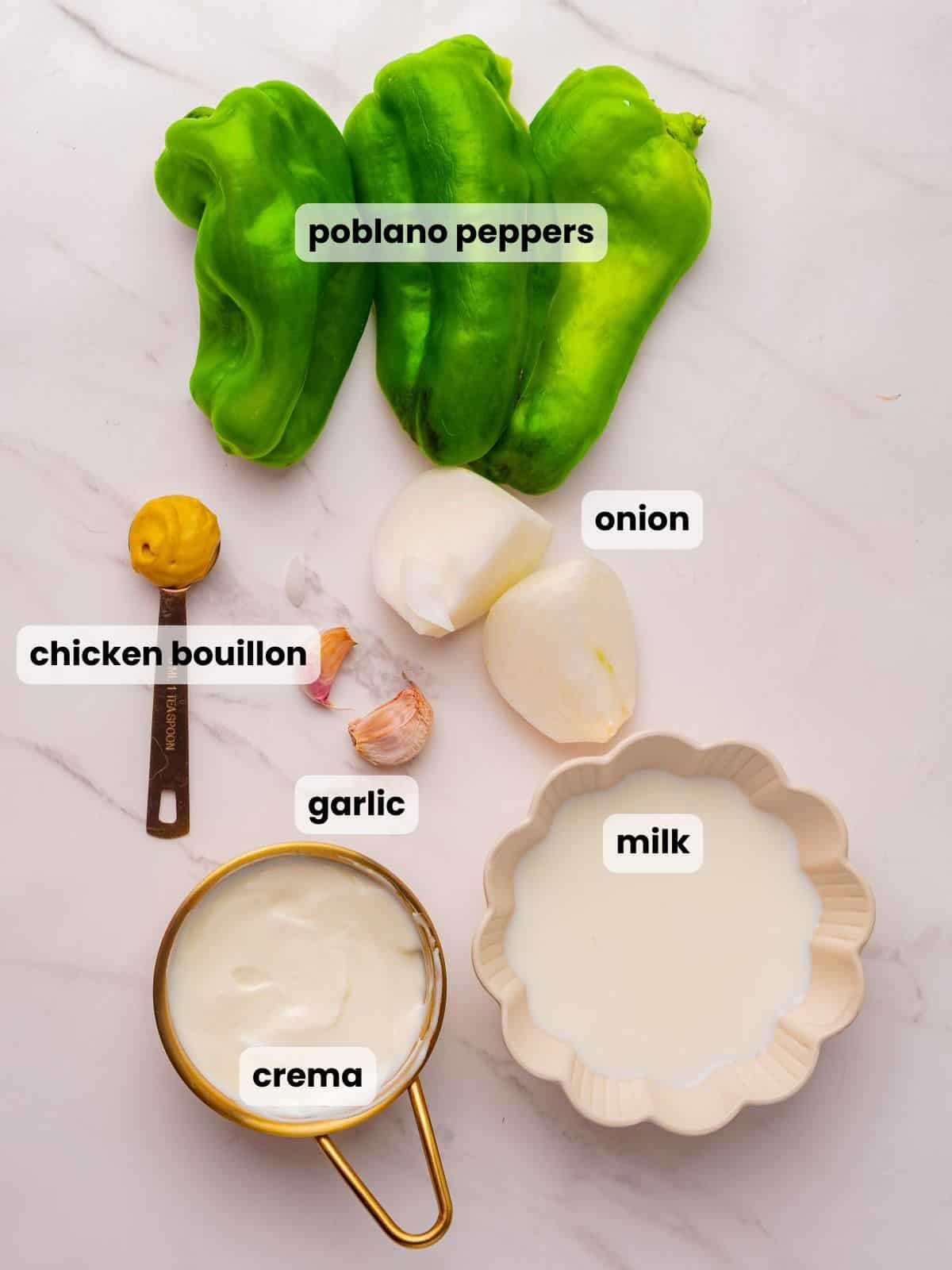 Ingredients needed to make this poblano cream sauce recipe.